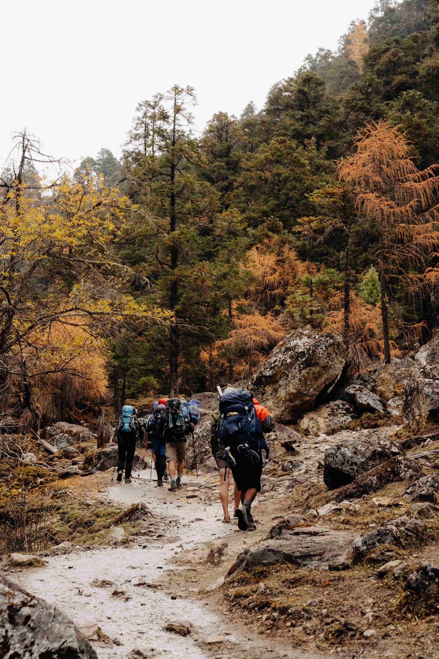  Manaslu Circuit Trekking 